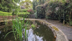 A pond with water plants, a stone pathway, and a wooden fence. - The Treehouse (Colwyn Bay)