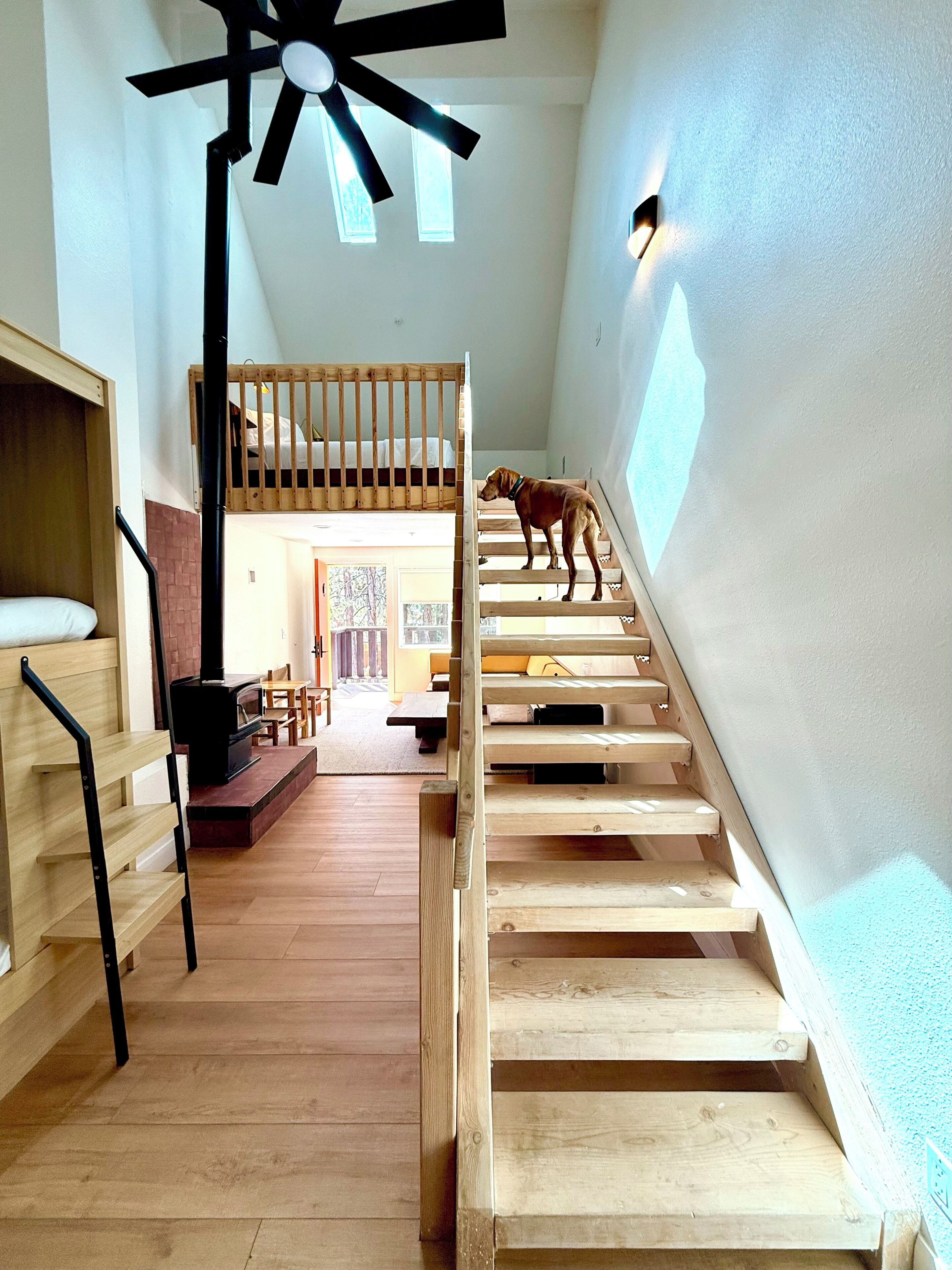 A wooden staircase with a dog standing on the upper landing.