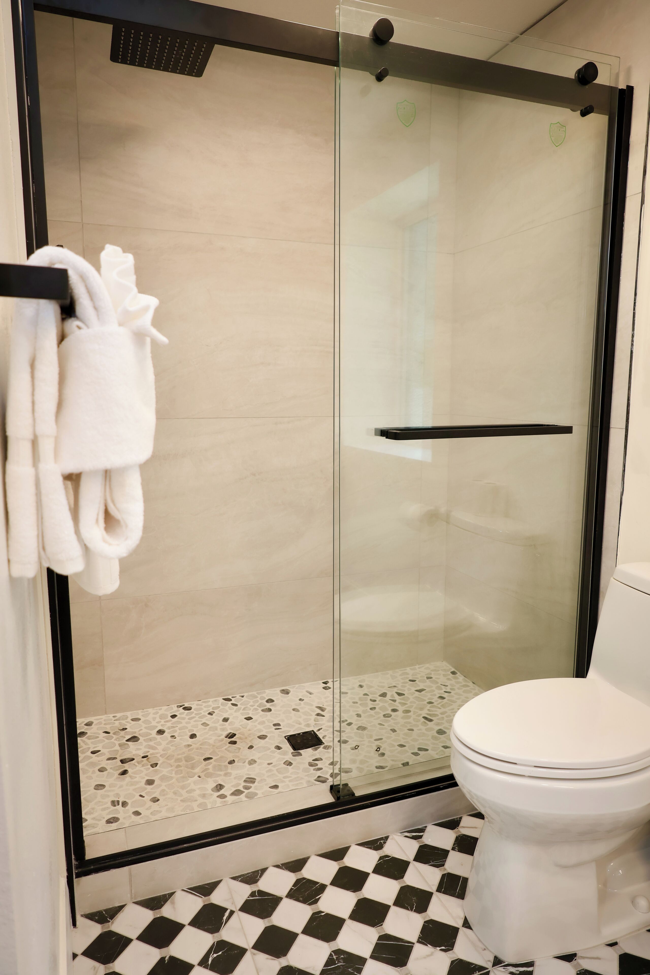A bathroom with a glass-enclosed shower, a toilet, and a checkered floor.
