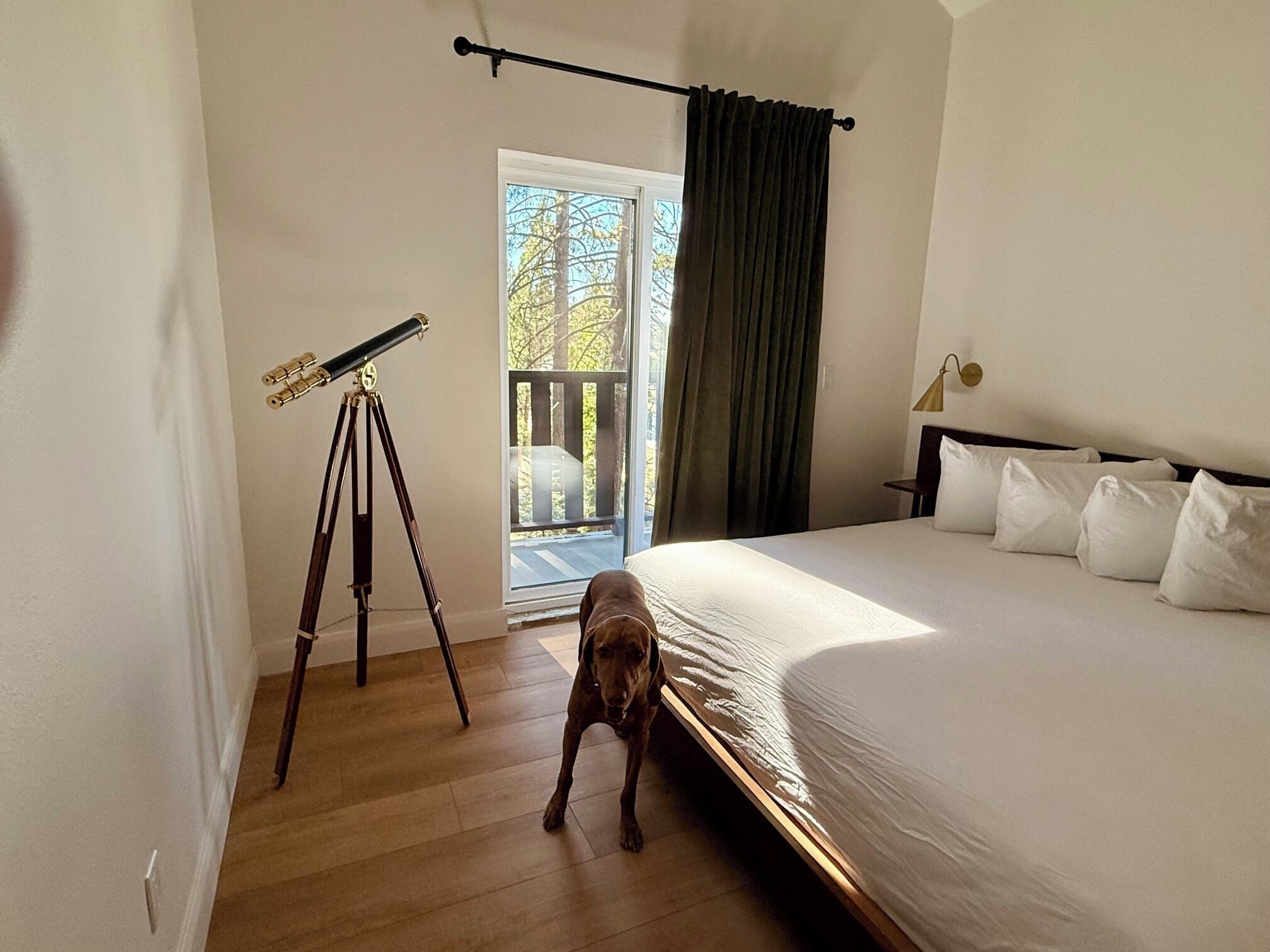 A bedroom with a telescope, a dog, a bed, and a balcony.