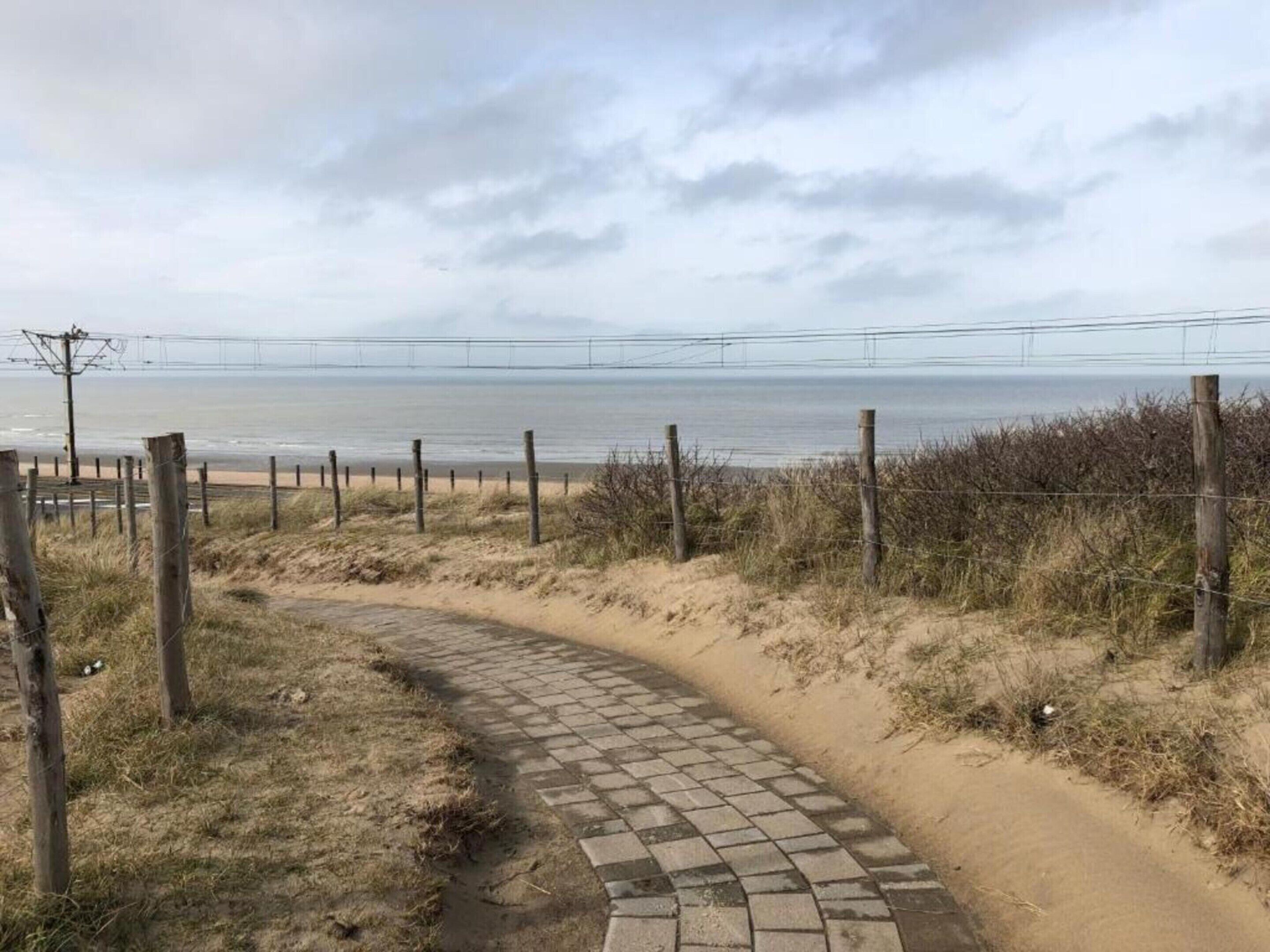 Un vialetto lastricato conduce a una spiaggia, con una recinzione e vegetazione.