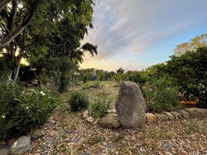 A garden with a large rock, various plants, and a cloudy sky.