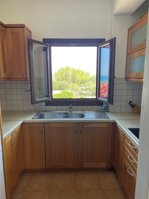 Una cocina con armarios de madera, un lavamanos y una ventana con vistas a zonas verdes.