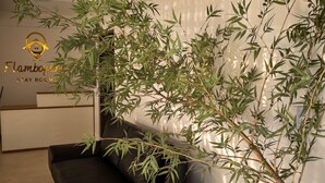 A reception area with a reception desk, a black sofa, and a large bamboo plant. - Flamboyant Stay Rooms (Goiânia)