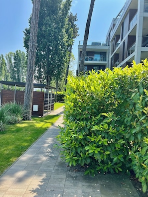 A pathway lined with green bushes and trees, leading to a modern building with a glass facade.
