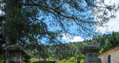 GITE AU COEUR DES CEVENNES IDEAL POUR LES AMOUREUX DE NATURE