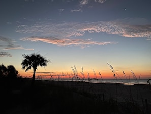 Eine Strandansicht mit der Silhouette einer Palme, dem Meer und dem Himmel.
