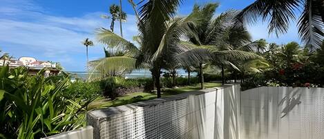 A fenced outdoor area with palm trees and a view of the ocean.