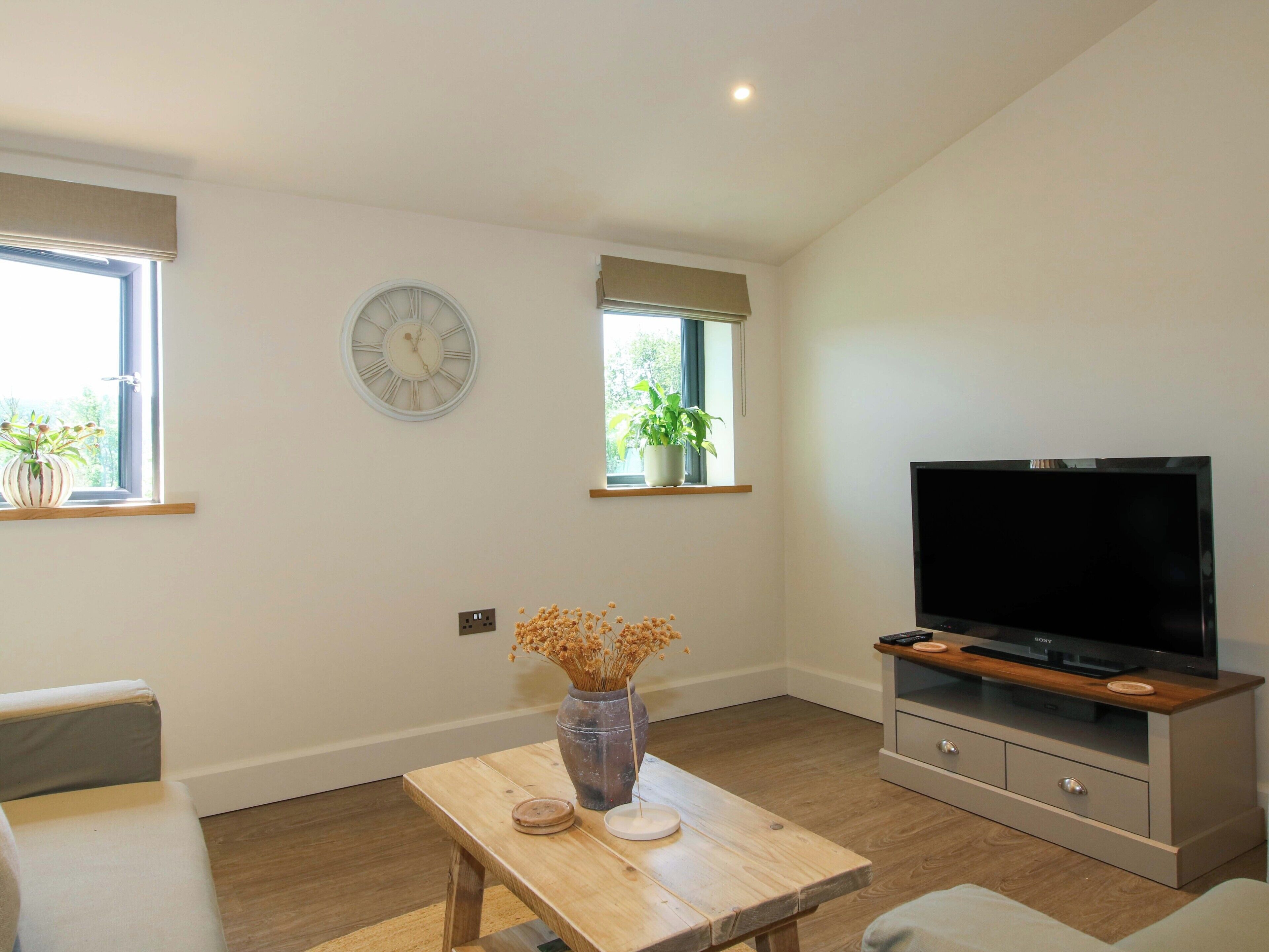 A modern living room with a flat-screen TV, a wooden coffee table, a clock, and a window with a plant.