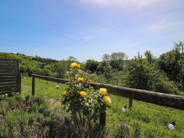A rural landscape with a wooden fence, lush greenery, and yellow flowers. - Thyme Away (Bucknell)