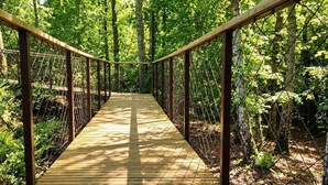 A wooden suspension bridge in a forested area with chain-link railings. - Gîte Hydra Nature (Conteville)