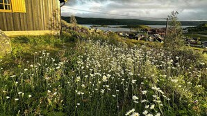 Een landelijk landschap met een houten huis, een veld vol witte bloemen en een meer op de achtergrond.