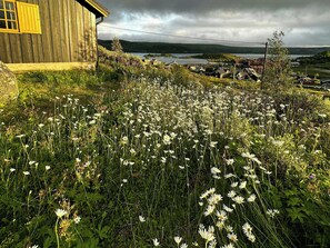 Ländliche Landschaft mit einem Holthaus, einem Feld voller weißer Blumen und einem See im Hintergrund.