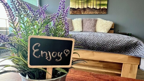 Une pièce avec un lit, un tableau accroché au mur et une plante en pot, accompagnée d’une étiquette.