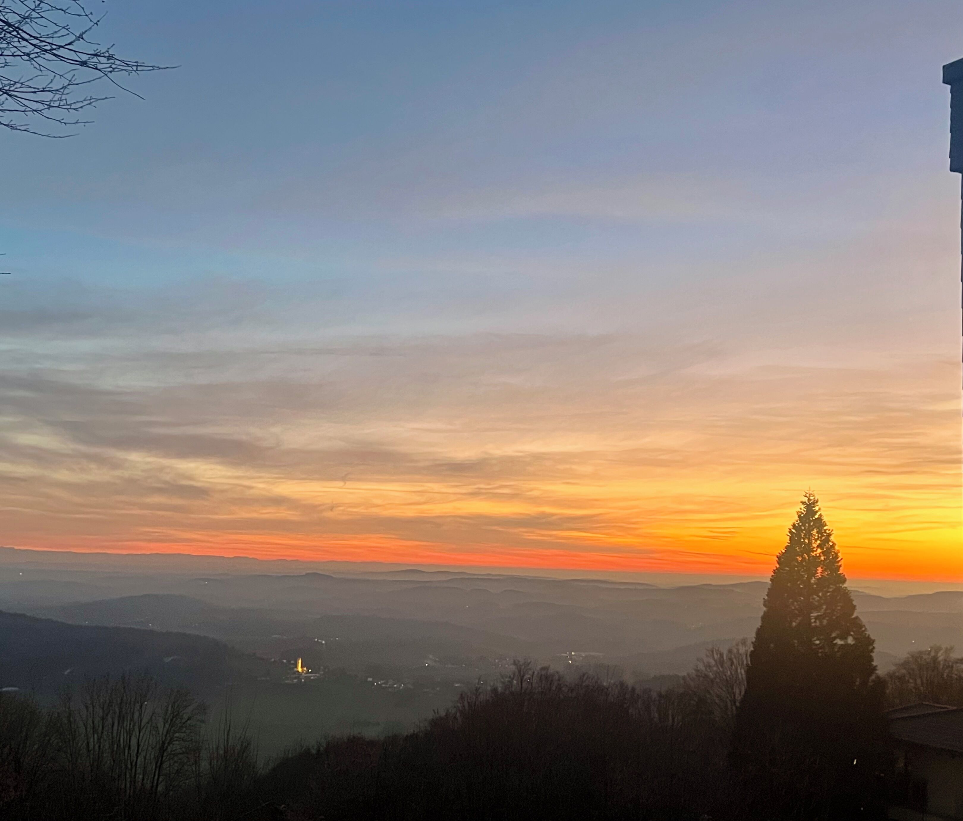 A sunset view over a hilly landscape with a prominent tree silhouette.