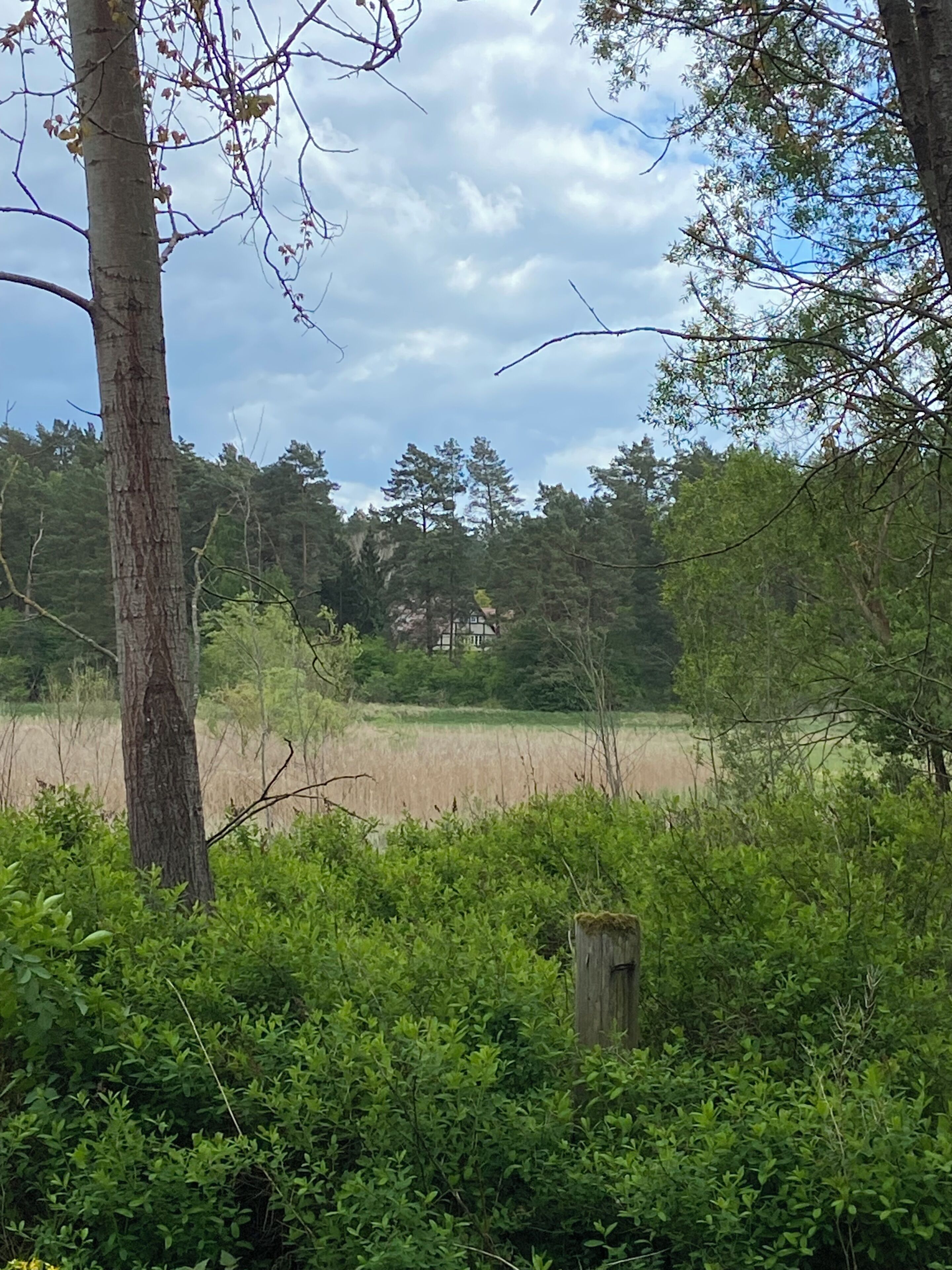 A natural landscape with trees, a field, and a distant building.
