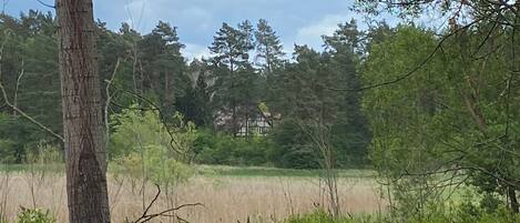 A natural landscape with trees, a field, and a distant building.