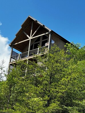 Uma cabana de madeira com varanda, rodeada por vegetação densa e verdejante.