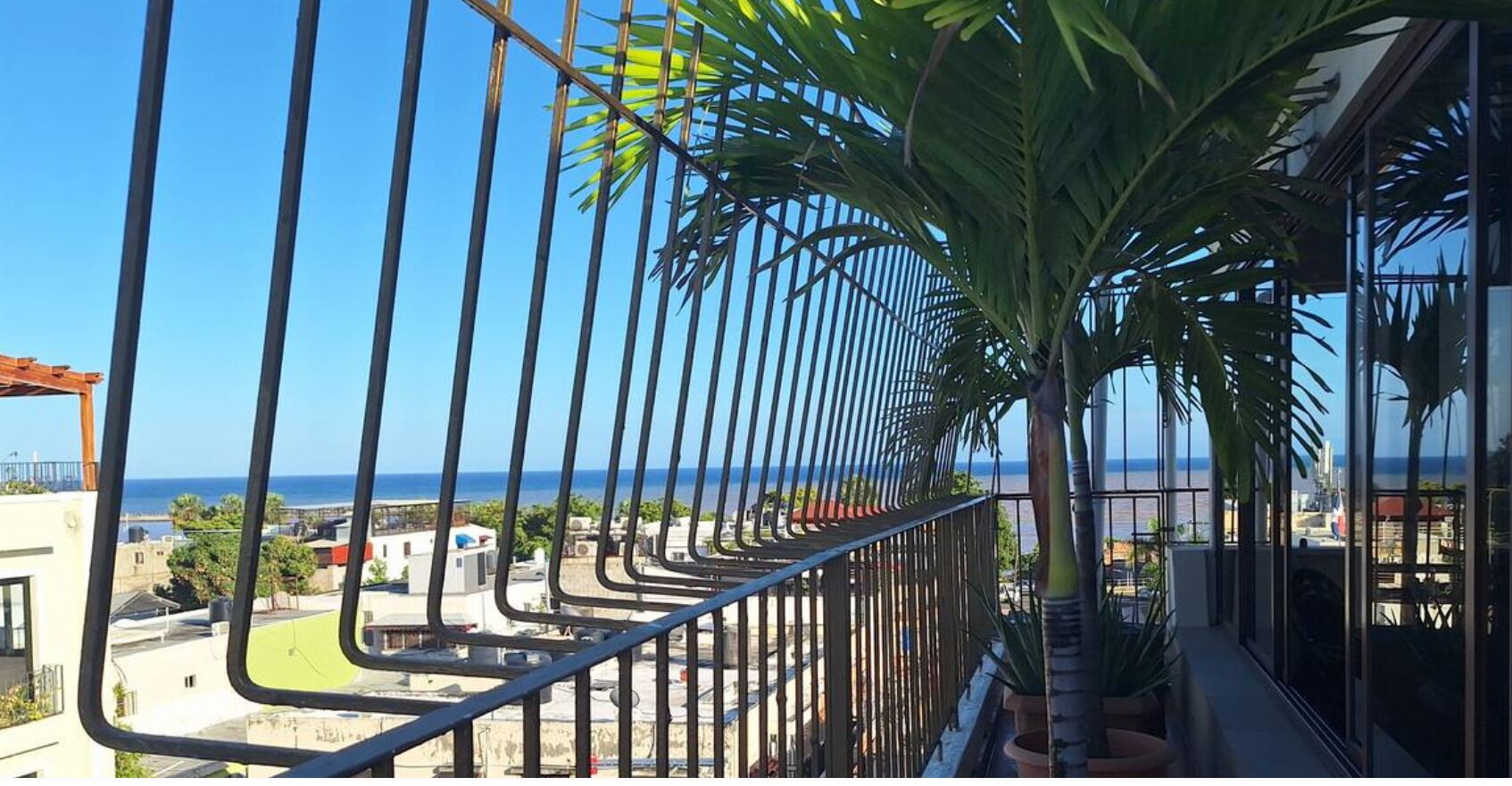 A balcony with a view of the sea, a palm tree, and a metal railing.