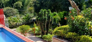 A pool with a red railing, surrounded by lush greenery and various plants. - Wake Up to Birdsongs, Mountain Mist & Pure Nature – Exclusive Country House (El Queremal)