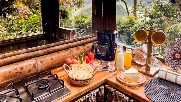 A rustic kitchen with a gas stove, a coffee maker, and a view of the surrounding greenery.