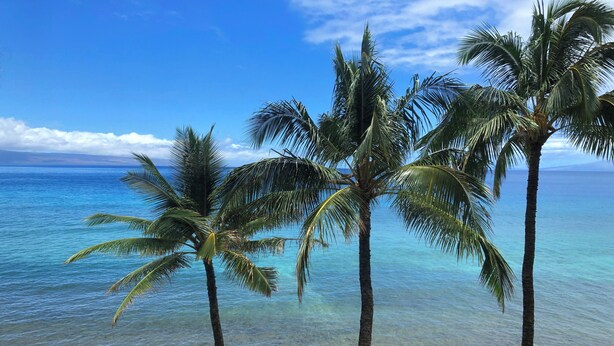 A beach with clear blue water and palm trees. - ~MAHANA 505~Ocean Front Condo with A/C & Beautiful Island Views in Kaanapali (Lahaina)