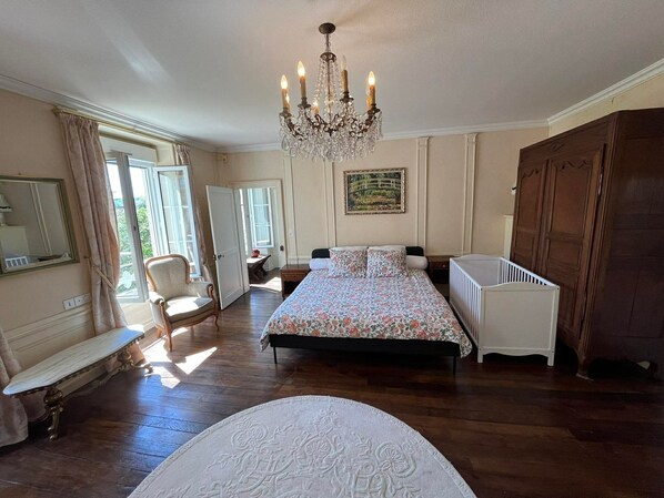 Iron/ironing board, Internet, bed sheets - La demeure aux Lilas a large stone mansion (Cirey-sur-Blaise)