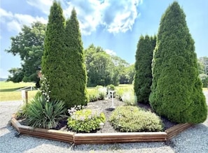 A garden with neatly trimmed hedges and a gravel path.