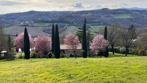 A rural landscape with a house surrounded by trees and fields. - Magical Umbrian Villa with pool! (MONTECASTRILLI)