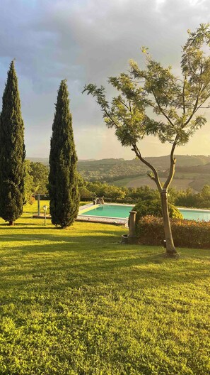 A well-maintained lawn with a swimming pool and two tall trees in the background.