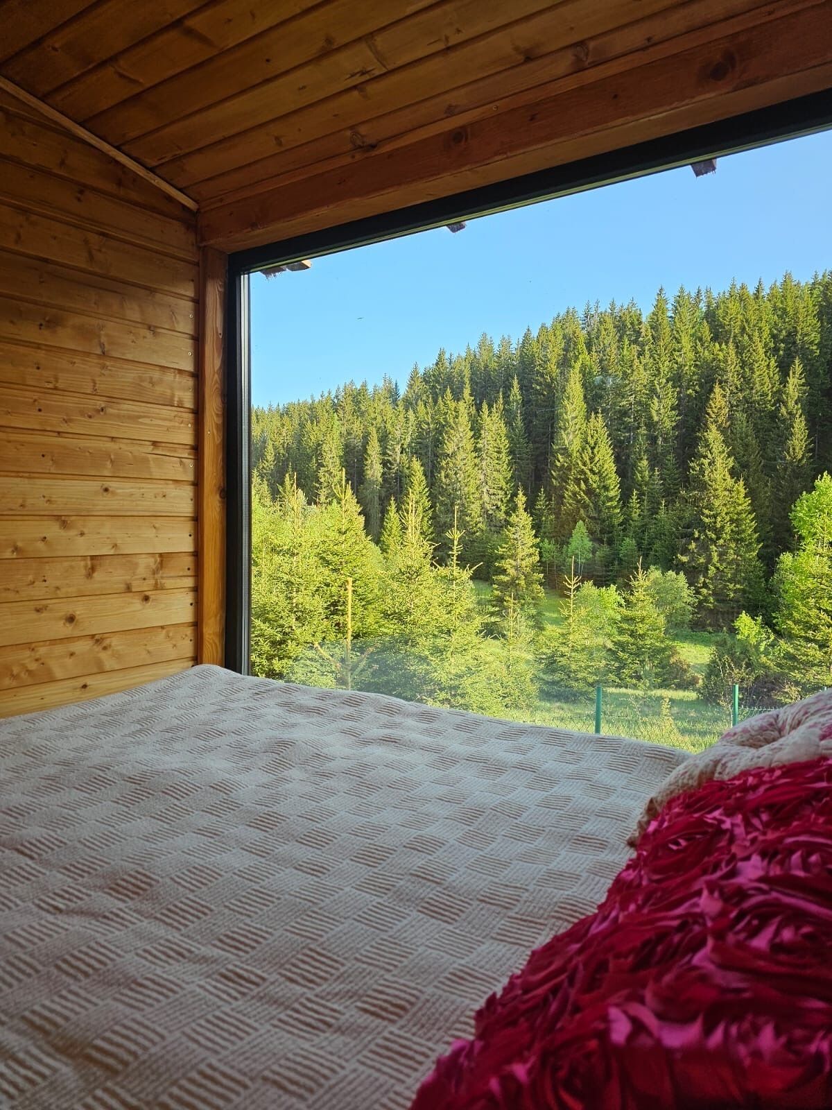 WiFi, bed sheets