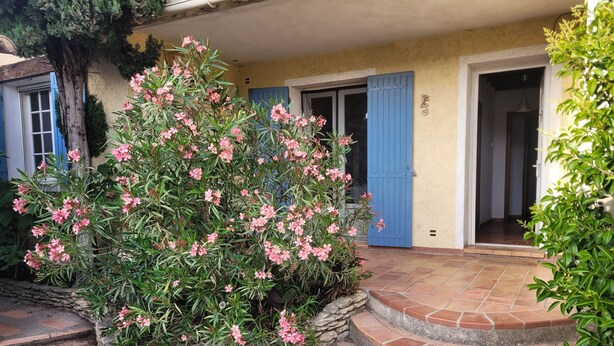 Ein Steingefäß mit rosa Blüten, eine blaue Tür und eine Treppe, die zu einem Hauseingang führt.