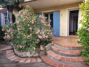 A stone planter with pink flowers, a blue door, and a staircase leading to a building entrance. - Summer rental Avignon festival House 100m2. Perfect for relaxing. (Avignon)
