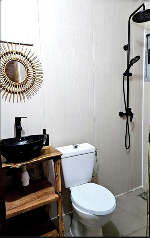A bathroom with a toilet, a sink, a mirror, and a shower.
