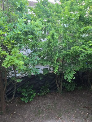 Property grounds - Pavilion with Tree Garden (Limeil-Brévannes)