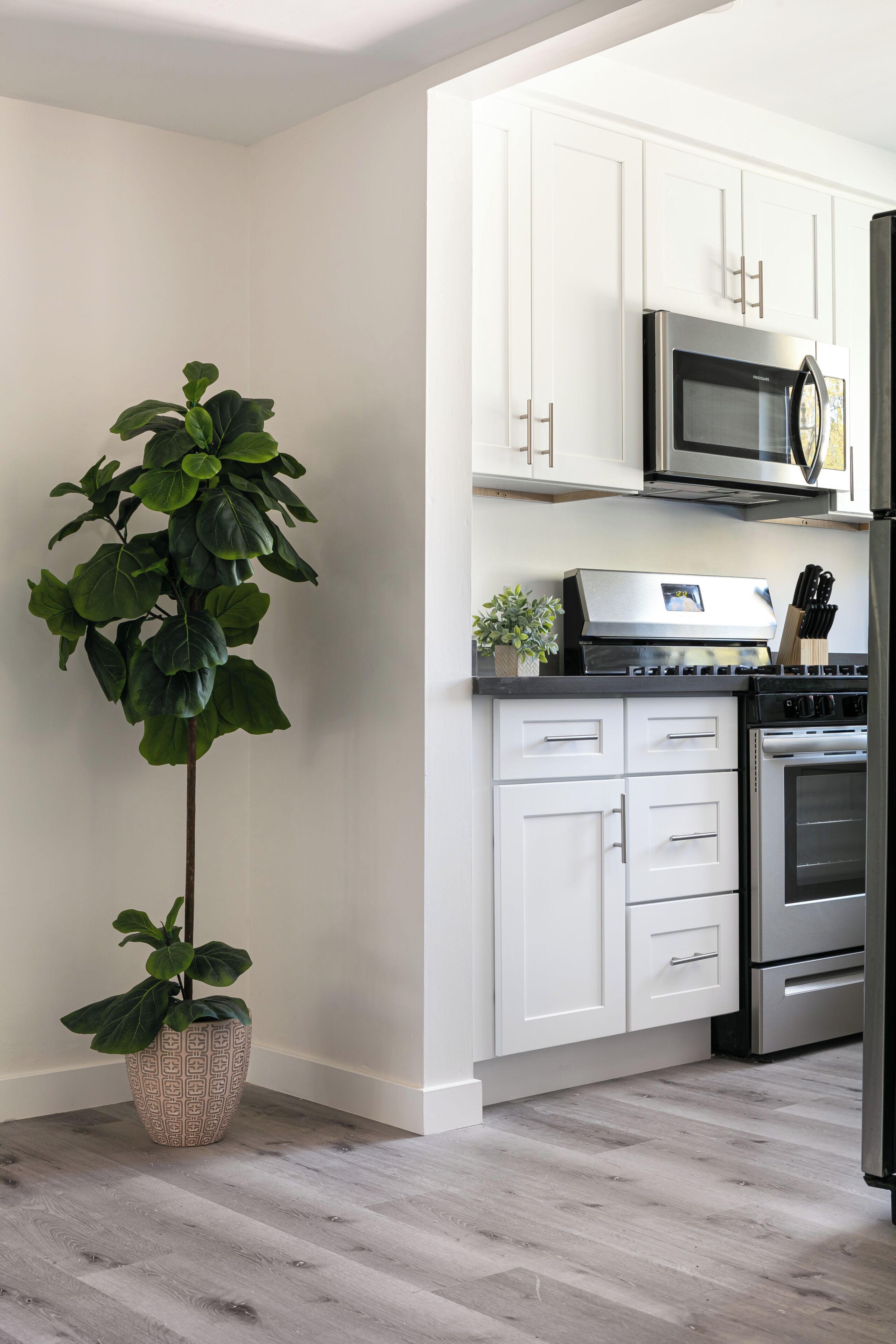 A modern kitchen with white cabinets, stainless steel appliances, and a potted plant.