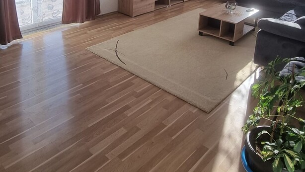 Un salón espacioso con suelo de madera, una televisión de pantalla plana, un sofá, una mesa de centro y una planta en maceta.