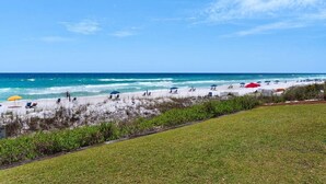 Una spiaggia con ombrelloni e lettini, una zona verde e vista sull'oceano.