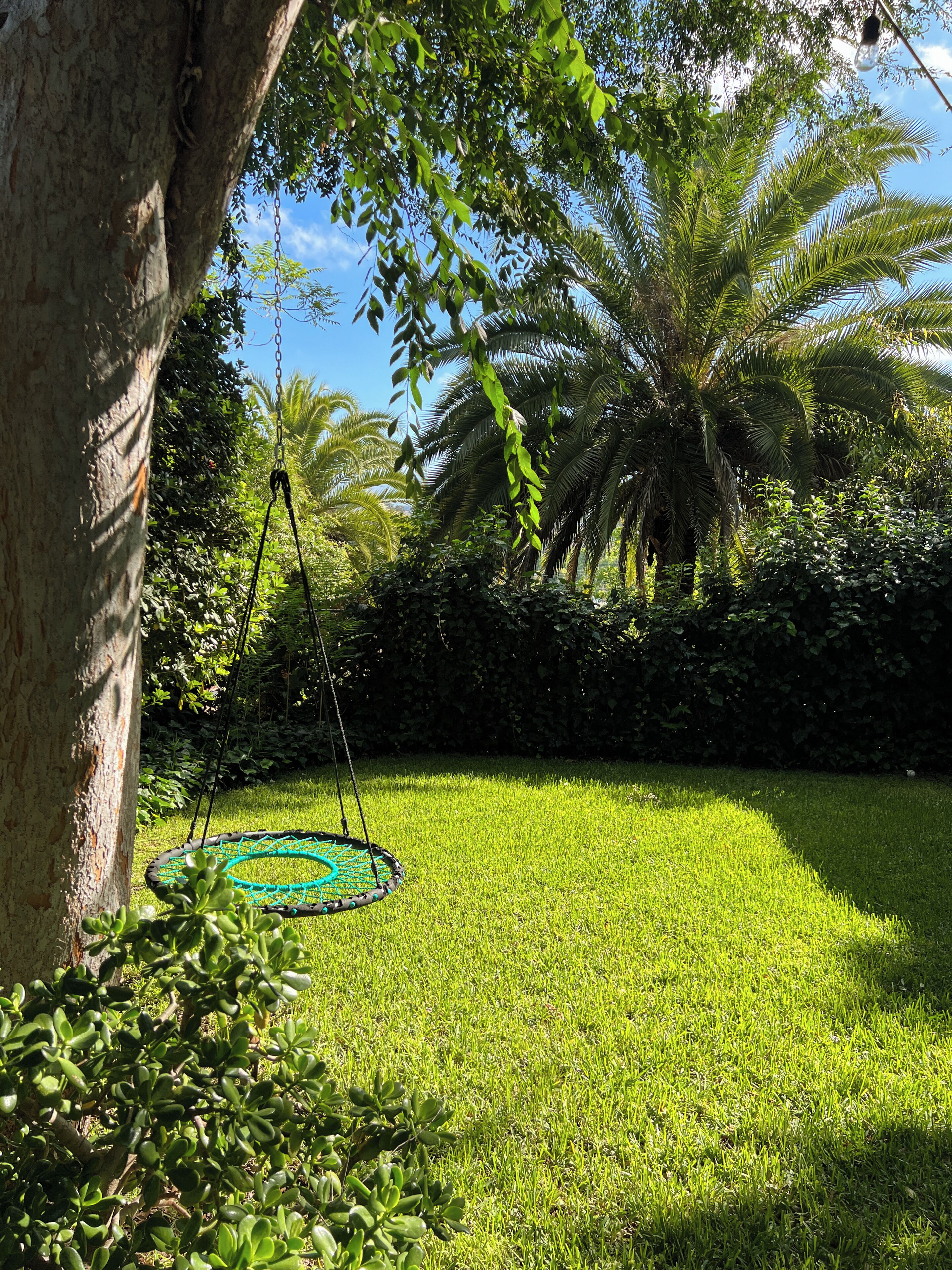 Una zona amb gespa, un parc de swings i palmeres.