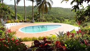 A swimming pool surrounded by tropical plants and palm trees, with a view of a lush green landscape.