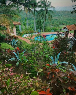 Appartement, vue sur le jardin | Terrain de l’hébergement 