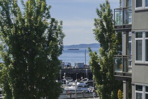 Ein Yachthafen mit vertäuten Booten, ein großes Gewässer und eine entfernte Insel.