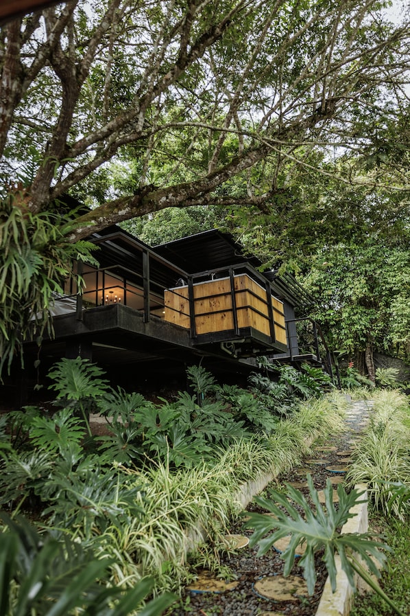 Une structure en bois, surélevée sur des piliers, se dressant au milieu d’une végétation luxuriante, avec un sentier menant à elle.