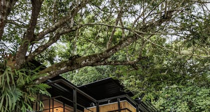 Tree Container Lodging Near Cali