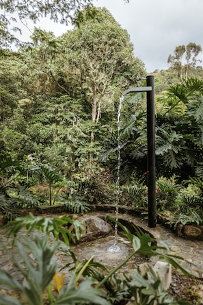 Ein Wasserspiel mit einem Bach, der über Felsen fließt, umgeben von üppiger Vegetation und Bäumen.