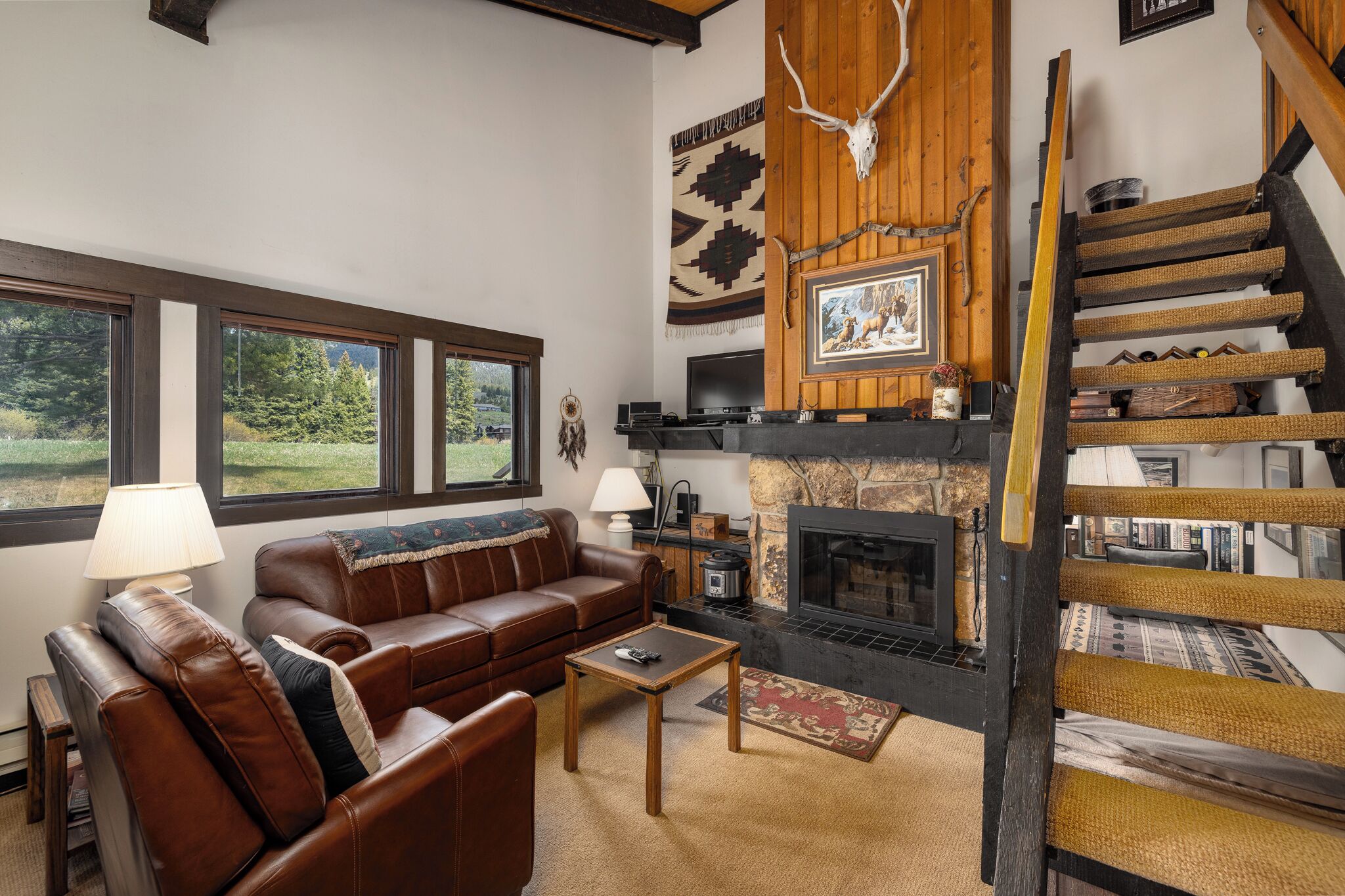 TV, fireplace