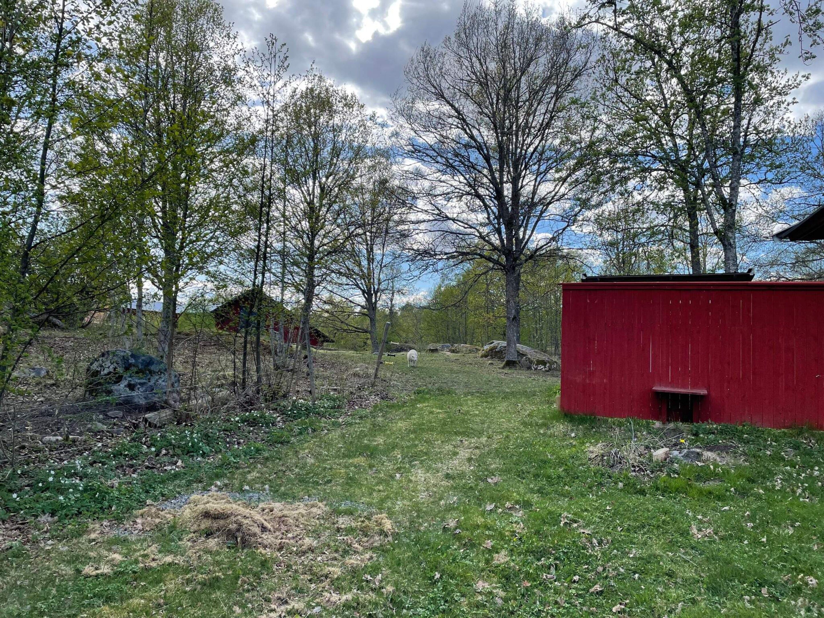 A rural landscape with a red barn, trees, and a grassy field.