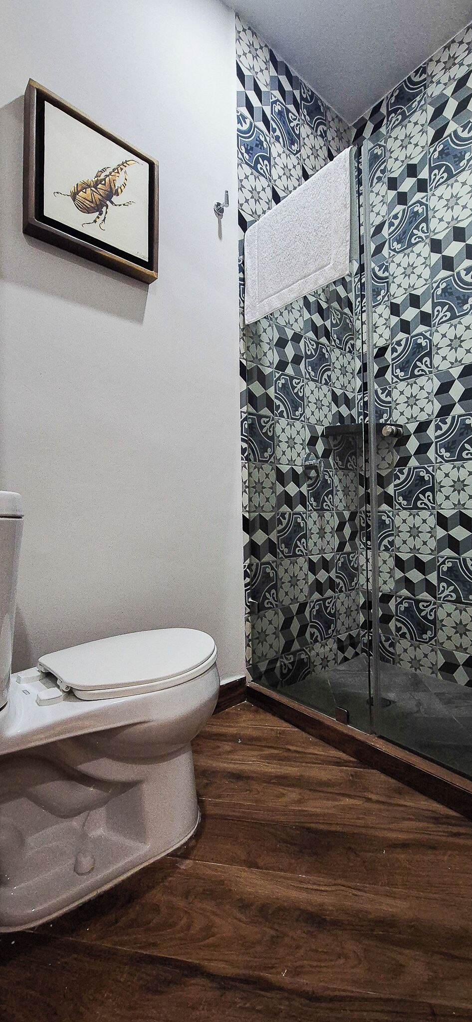 Ein Badezimmer mit Toilette, einer Dusche mit gemusterten Fliesen und einem gerahmten Bild an der Wand.