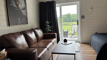 Televisio, DVD-soitin, kirjoja, videokirjasto