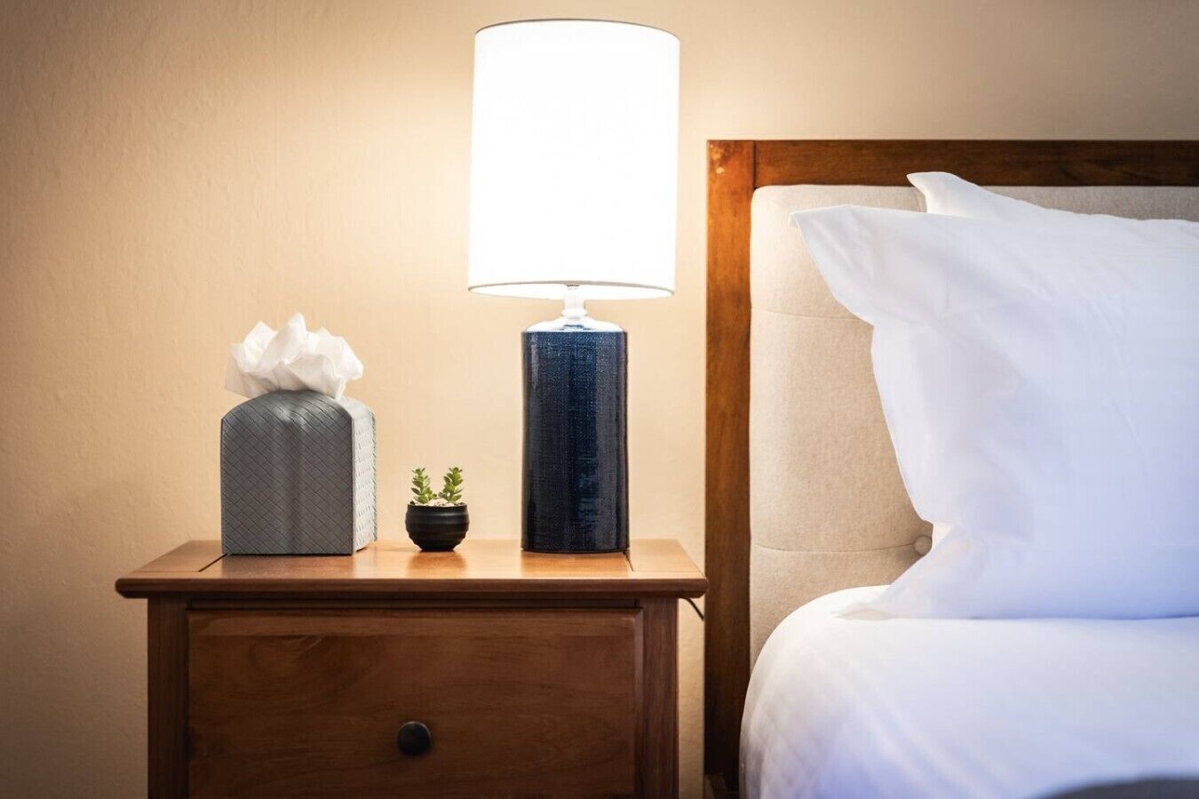 Un lit bien fait, avec du linge de lit blanc, une lampe de chevet, une boîte de mouchoirs et une petite plante en pot sur une table de chevet en bois.